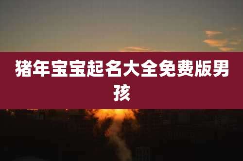 猪年宝宝起名大全免费版男孩