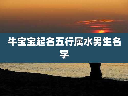 牛宝宝起名五行属水男生名字