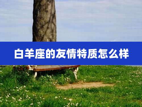 白羊座的友情特质怎么样
