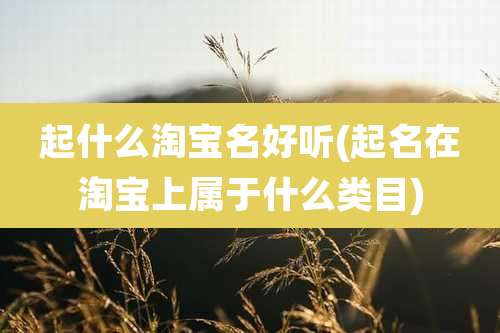 起什么淘宝名好听(起名在淘宝上属于什么类目)