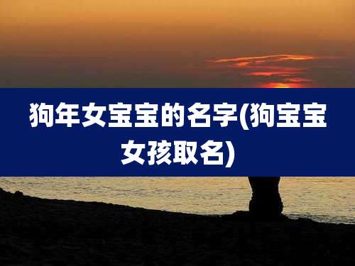 狗年女宝宝的名字(狗宝宝女孩取名)