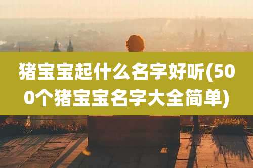 猪宝宝起什么名字好听(500个猪宝宝名字大全简单)