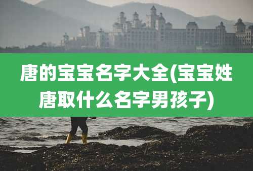 唐的宝宝名字大全(宝宝姓唐取什么名字男孩子)