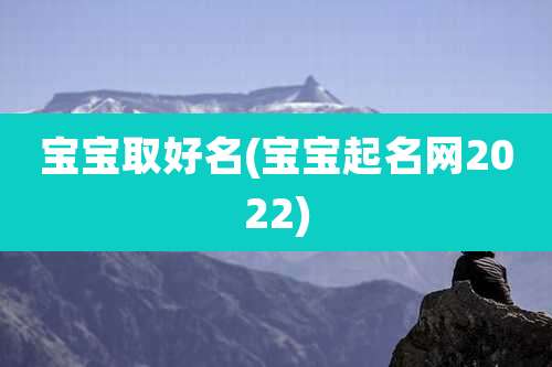 宝宝取好名(宝宝起名网2022)