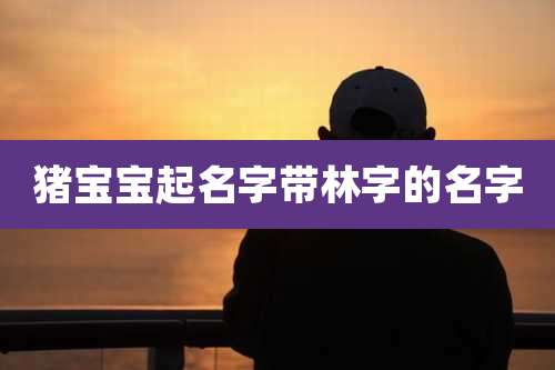 猪宝宝起名字带林字的名字