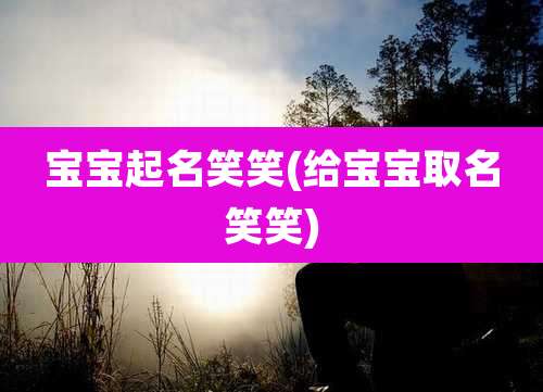 宝宝起名笑笑(给宝宝取名笑笑)