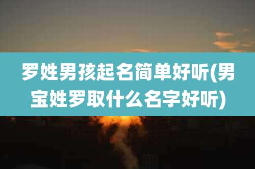 罗姓男孩起名简单好听(男宝姓罗取什么名字好听)