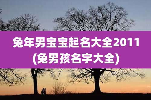 兔年男宝宝起名大全2011(兔男孩名字大全)