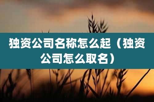独资公司名称怎么起（独资公司怎么取名）