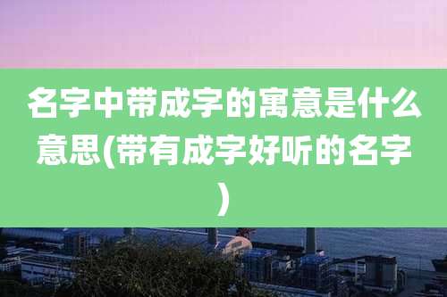 名字中带成字的寓意是什么意思(带有成字好听的名字)