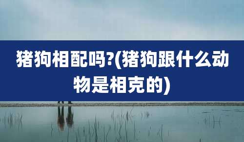猪狗相配吗?(猪狗跟什么动物是相克的)