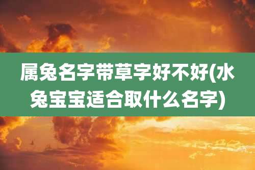 属兔名字带草字好不好(水兔宝宝适合取什么名字)