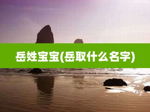 岳姓宝宝(岳取什么名字)