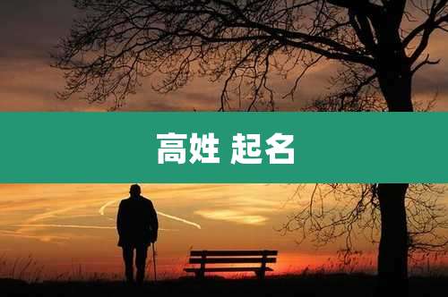 高姓 起名