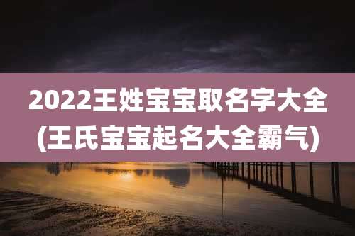 2022王姓宝宝取名字大全(王氏宝宝起名大全霸气)