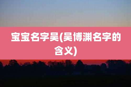 宝宝名字吴(吴博渊名字的含义)