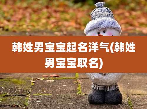 韩姓男宝宝起名洋气(韩姓男宝宝取名)