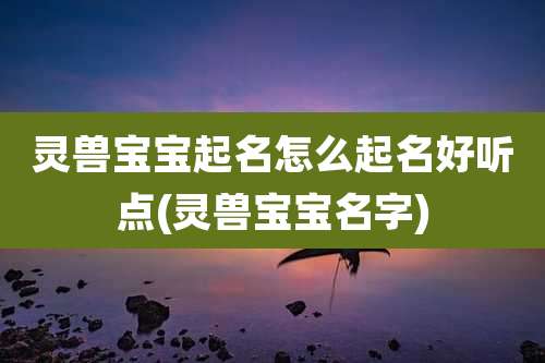 灵兽宝宝起名怎么起名好听点(灵兽宝宝名字)