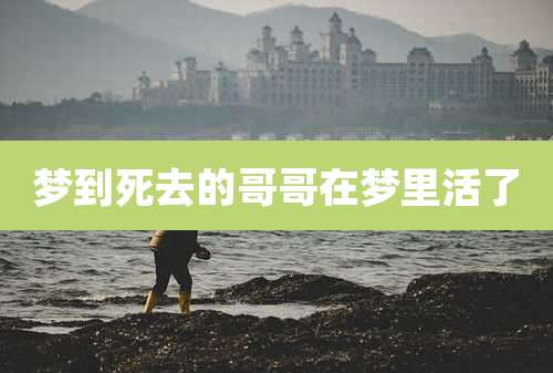 梦到死去的哥哥在梦里活了