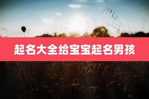 起名大全给宝宝起名男孩