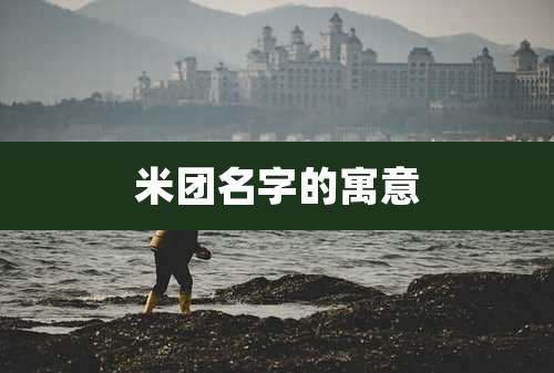 米团名字的寓意