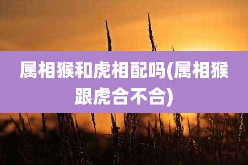 属相猴和虎相配吗(属相猴跟虎合不合)