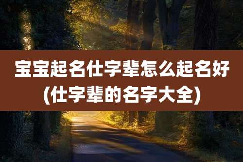 宝宝起名仕字辈怎么起名好(仕字辈的名字大全)