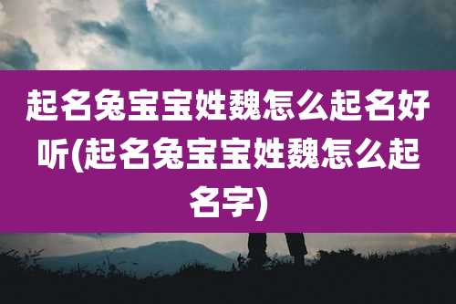 起名兔宝宝姓魏怎么起名好听(起名兔宝宝姓魏怎么起名字)