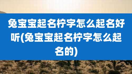 兔宝宝起名柠字怎么起名好听(兔宝宝起名柠字怎么起名的)