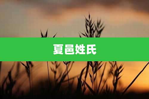 夏邑姓氏