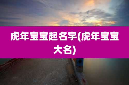 虎年宝宝起名字(虎年宝宝大名)