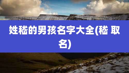 姓嵇的男孩名字大全(嵇 取名)