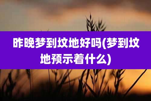 昨晚梦到坟地好吗(梦到坟地预示着什么)