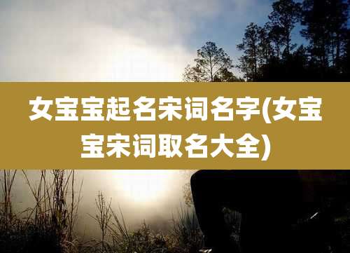 女宝宝起名宋词名字(女宝宝宋词取名大全)