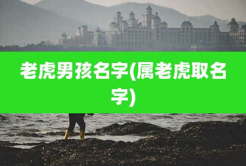 老虎男孩名字(属老虎取名字)