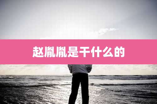 赵胤胤是干什么的