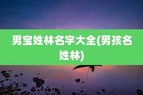 男宝姓林名字大全(男孩名姓林)
