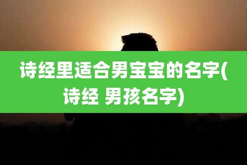 诗经里适合男宝宝的名字(诗经 男孩名字)