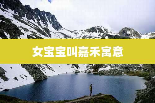 女宝宝叫嘉禾寓意