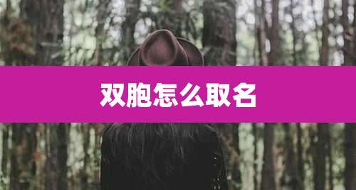 双胞怎么取名