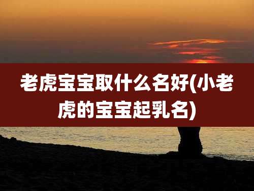 老虎宝宝取什么名好(小老虎的宝宝起乳名)