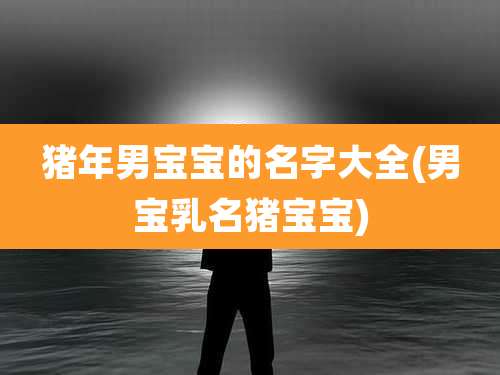 猪年男宝宝的名字大全(男宝乳名猪宝宝)