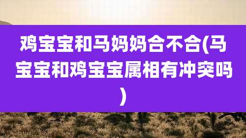 鸡宝宝和马妈妈合不合(马宝宝和鸡宝宝属相有冲突吗)