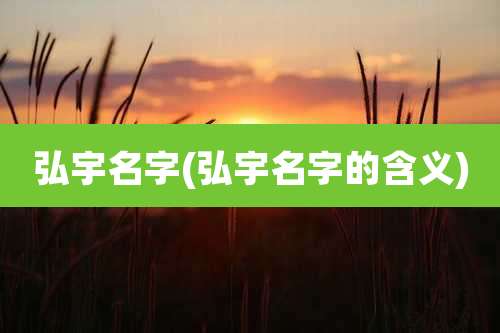 弘宇名字(弘宇名字的含义)