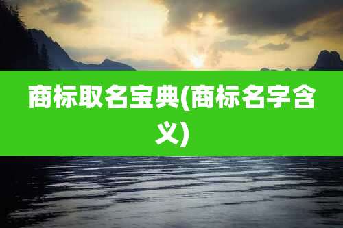 商标取名宝典(商标名字含义)