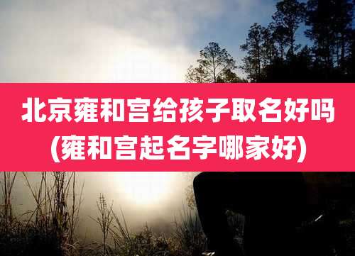 北京雍和宫给孩子取名好吗(雍和宫起名字哪家好)