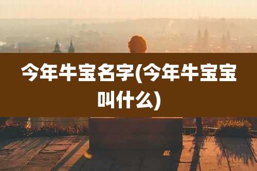 今年牛宝名字(今年牛宝宝叫什么)