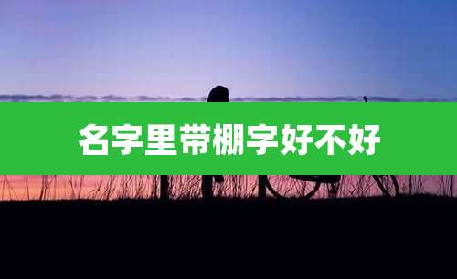 名字里带棚字好不好