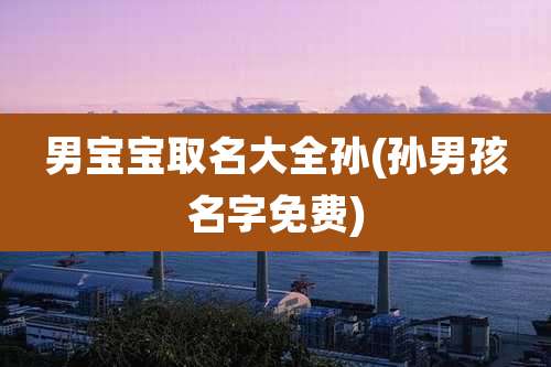 男宝宝取名大全孙(孙男孩名字免费)