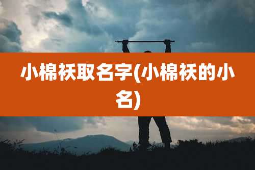 小棉袄取名字(小棉袄的小名)
